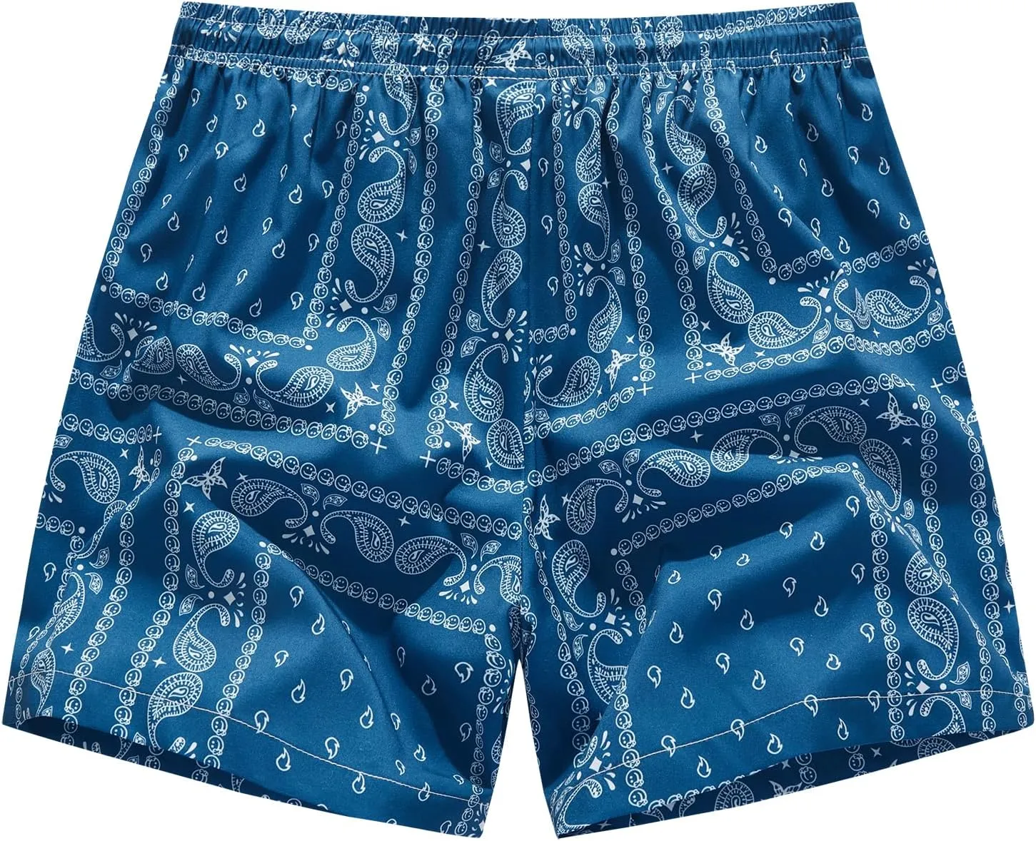 BOOMLEMON Men's Retro Paisley Shorts Mesh Print Casual Beach Shorts Athletic Gym Workout Running Short Pants
