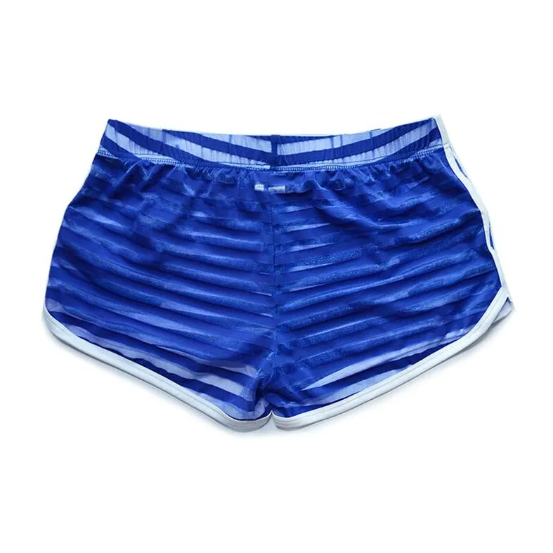DM Striped Mesh Gym Shorts