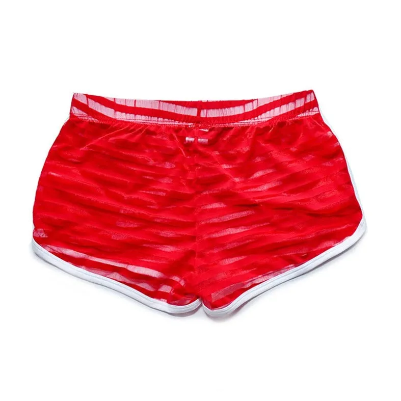 DM Striped Mesh Gym Shorts