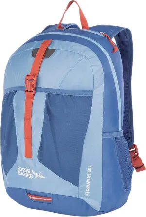 Eddie Bauer Stowaway Packable Backpack-Made from Ripstop Polyester, Coast Blue, 30L