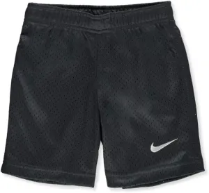 Nike Mesh Shorts Gym