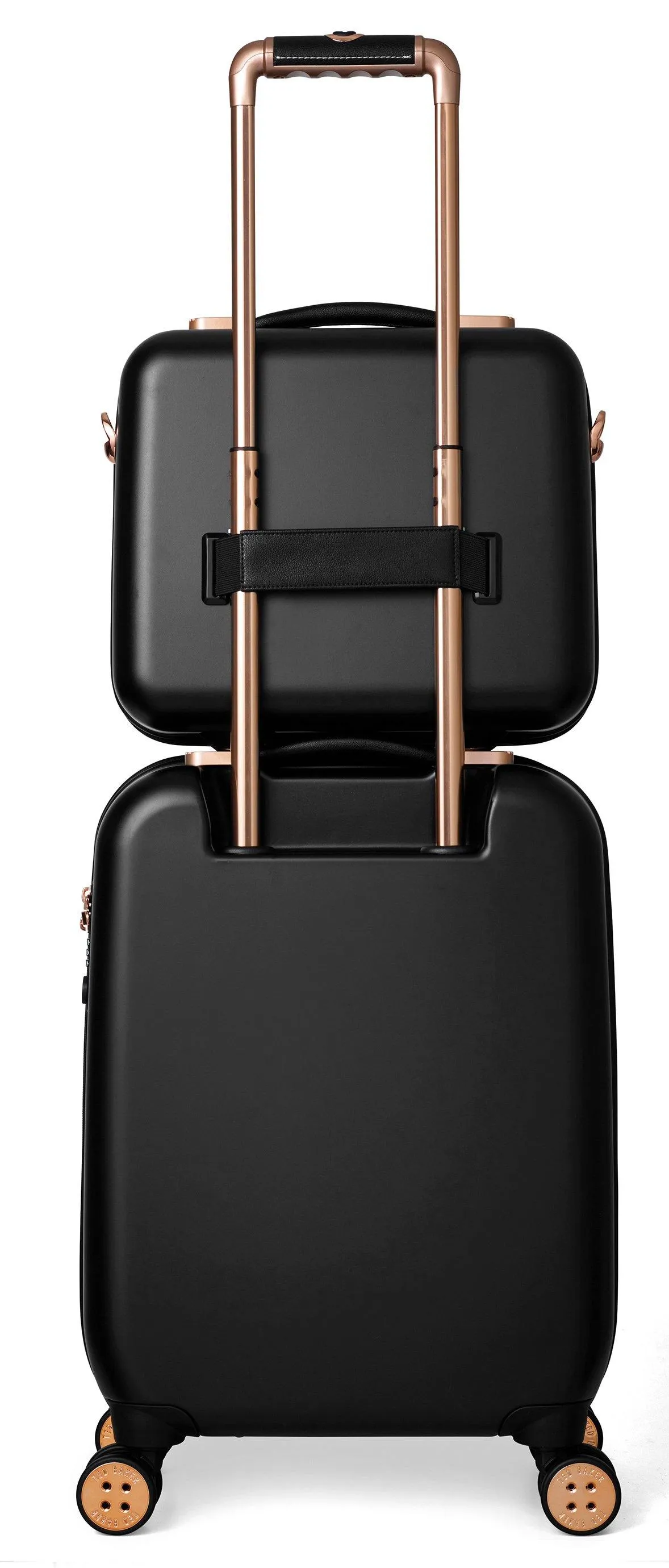 Ted Baker Women's Beau Collection