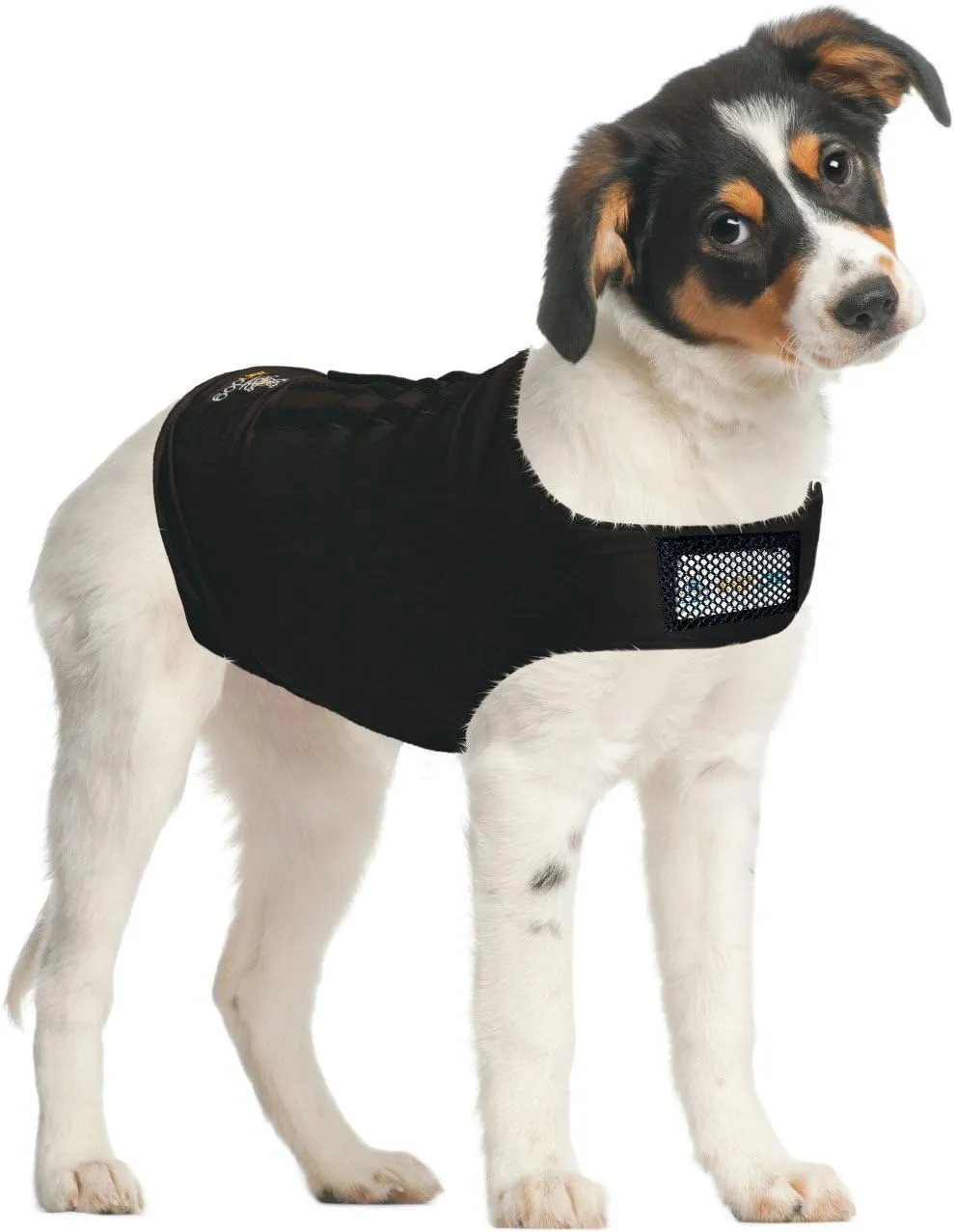 ZenPet Compression Shirt